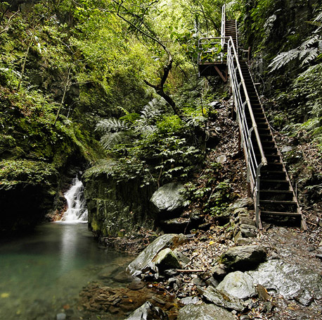 觀賞龜山島日出日落